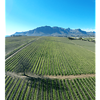 Kleine Zalze Wines image